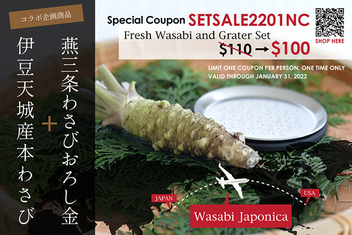 Wasabiさん専用 安い特注品 radimmune.com